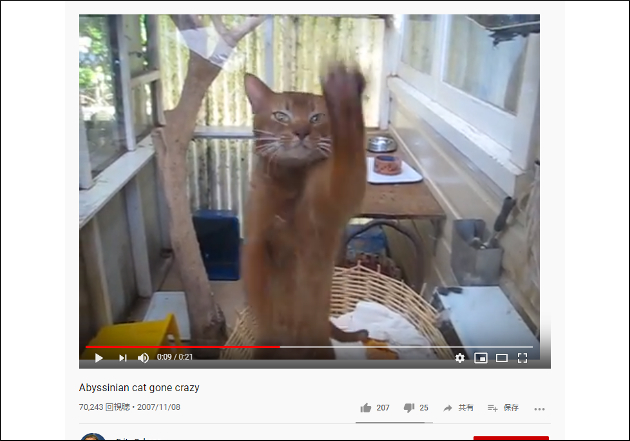 【YouTube厳選猫動画】そんなに外へ出たいの!? 無表情でガラスを叩きまくる猫の画像2