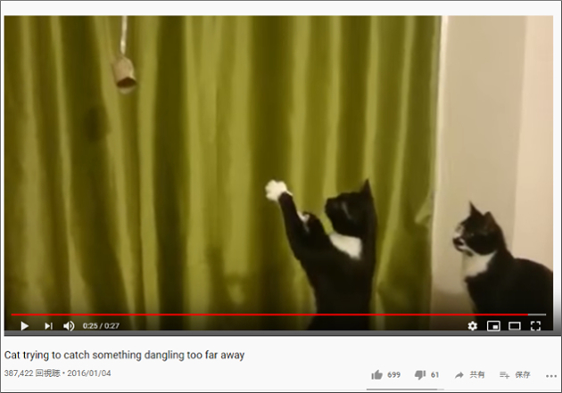 【YouTube厳選猫動画】ひたすら祈りを捧げる黒猫…… その様子を見守る猫の絵面がシュールすぎ！の画像2