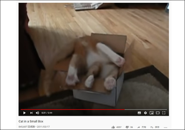 【YouTube厳選猫動画】助走をつけてダイブ！ 小さな箱がお気に入りの猫の画像1