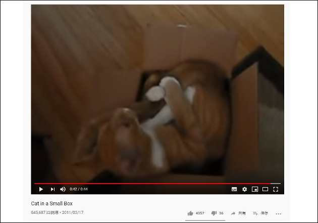 【YouTube厳選猫動画】助走をつけてダイブ！ 小さな箱がお気に入りの猫の画像2