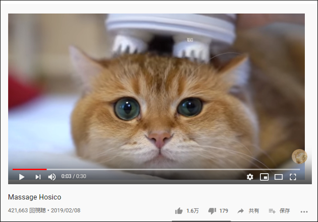 【YouTube厳選猫動画】マッサージ器で頭を揉みほぐされる猫ちゃんの反応が意外すぎるの画像1
