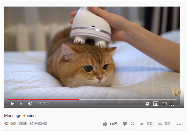 【YouTube厳選猫動画】マッサージ器で頭を揉みほぐされる猫ちゃんの反応が意外すぎるの画像2