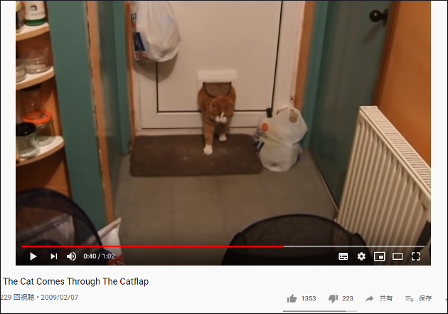 【YouTube厳選猫動画】トラブル発生！ 太りすぎて家に入れない猫さん……の画像1