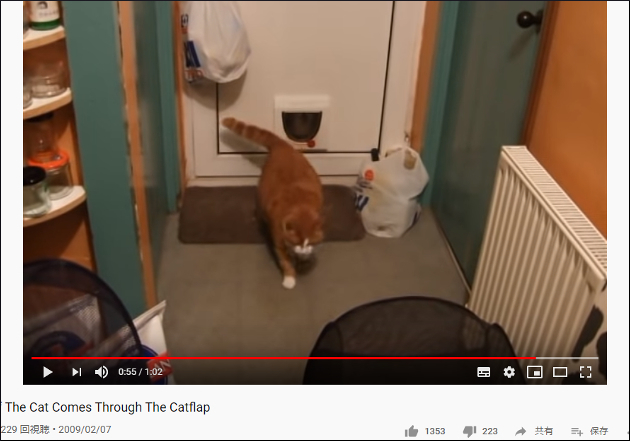 【YouTube厳選猫動画】トラブル発生！ 太りすぎて家に入れない猫さん……の画像2