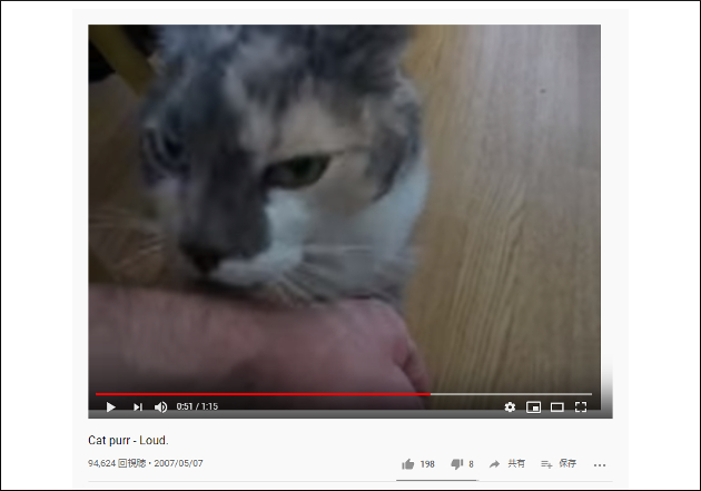 【YouTube厳選猫動画】のどにモーターしょってるの⁉ バイクみたいな声で鳴く猫の画像2