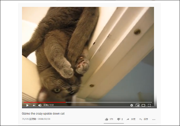 【YouTube厳選猫動画】クセがすごいんじゃ!!　変な格好で尻尾を舐める猫ちゃんの画像2