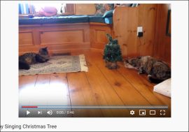 【YouTube厳選猫動画】怪しいクリスマスツリーにご用心!?　猫ちゃんが神リアクションをみせる