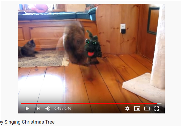 【YouTube厳選猫動画】怪しいクリスマスツリーにご用心!?　猫ちゃんが神リアクションをみせるの画像2