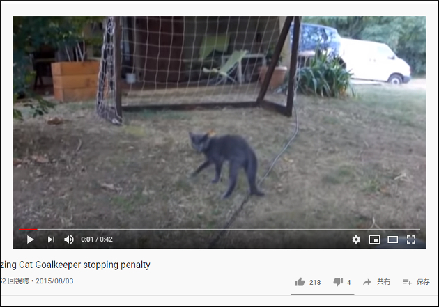 【YouTube厳選猫動画】ファインセーブ連発！ ゴールを守りきった猫キーパーの画像1